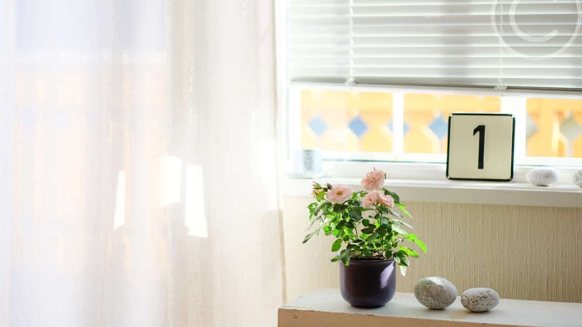 Blinds